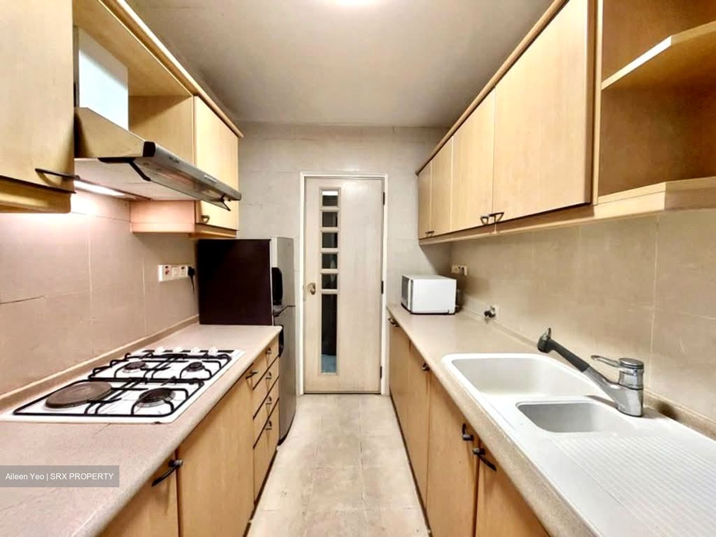 Nineteen Shelford Road (D11), Condominium #566266461